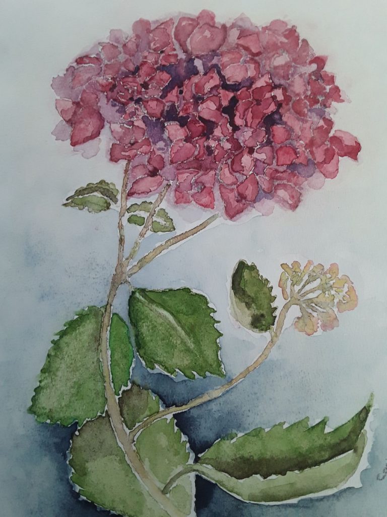 Aquarel - 11